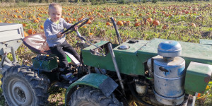 Podzimní vycházka 🎃 - 1696348096_IMG_20231003_100707.jpg