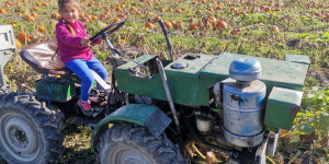 Podzimní vycházka 🎃 - 1696348102_IMG_20231003_100850.jpg