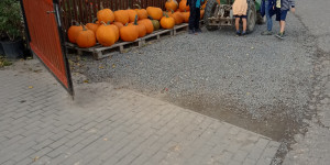 Návštěva zahradniho centra - 1696426444_IMG_20231004_135156.jpg