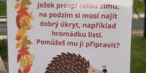 Podzimní stezka za zvířátky - 1700036706_20231114_094722.jpg