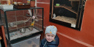 Jarní zvyklosloví a minizoo - 1713177868_20240327_100824.jpg