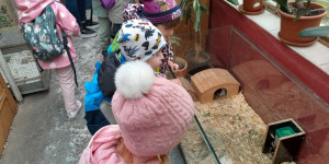 Jarní zvyklosloví a minizoo - 1713177879_20240327_100758.jpg