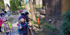 Jarní zvyklosloví a minizoo - 1713177880_20240327_095444.jpg