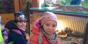 Jarní zvyklosloví a minizoo - 1713177923_20240327_092918.jpg