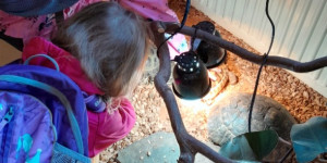 Návštěva mini ZOO - 1745496622_1000000767.jpg