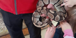 Návštěva mini ZOO - 1745496623_1000000765.jpg