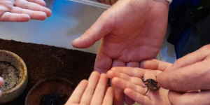 Návštěva mini ZOO - 1745496627_1000000756.jpg