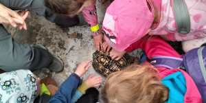 Návštěva mini ZOO - 1745496628_1000000754.jpg