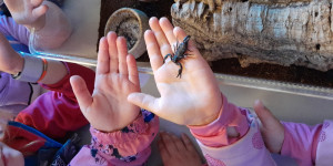 Návštěva mini ZOO - 1745496629_1000000753.jpg