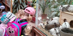 Návštěva mini ZOO - 1745496630_1000000751.jpg