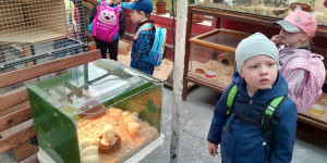 Návštěva mini ZOO - 1745496631_1000000749.jpg