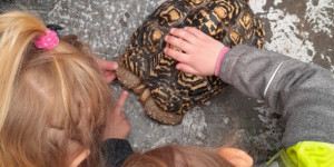Návštěva mini ZOO - 1745496633_1000000745.jpg