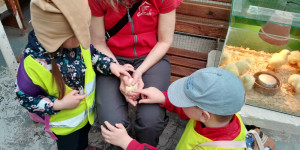 Návštěva mini ZOO - 1745496634_1000000742.jpg