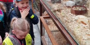 Návštěva mini ZOO - 1745496635_1000000740.jpg