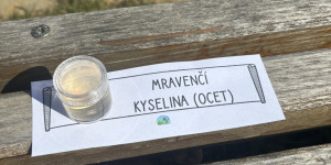 Čarodějnický rej - 1746022052_IMG_2430.jpeg