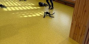 Čarotýden - 1746008673_3403b87b-d13b-4a49-a05e-8ddbe58efd3e.jpeg