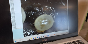 Žížalí odpoledne s rodiči a dětmi - 1746207757_20250429_161554.jpg