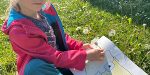Babička Pampeliška - 1747208101_1ba760a6-ea40-46b7-9645-c818aa1a807b.jpg