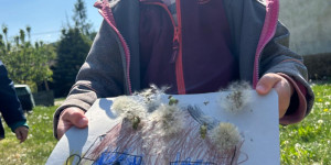 Babička Pampeliška - 1747208119_df0031c4-715f-416e-a2e8-795cf0e8bf9f.jpg