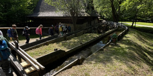 Školka v přírodě - 1747411054_IMG_2628.jpeg