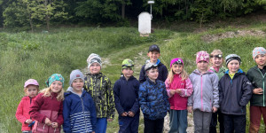 Školka v přírodě - 1747411329_IMG_2758.jpeg