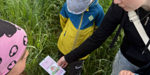Můj dům, moje rodina - 1747680306_b49e7525-c4e9-49ad-b5be-d6f8974689cb.jpeg