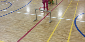 Se sokolíkem v tělocvičně - 1747758622_IMG_3008.jpeg