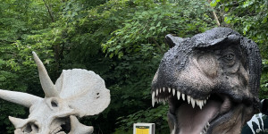 Tajemství Dinoparku🤫🦖 - 1747942076_IMG_1946.jpeg