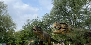 Tajemství Dinoparku🤫🦖 - 1747942079_IMG_1950.jpeg