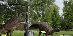 Tajemství Dinoparku🤫🦖 - 1747942087_IMG_1955.jpeg