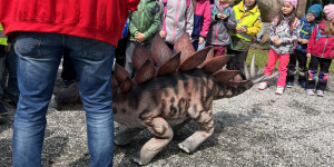 Tajemství Dinoparku🤫🦖 - 1747942098_IMG_1969.jpeg