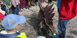 Tajemství Dinoparku🤫🦖 - 1747942101_IMG_1971.jpeg