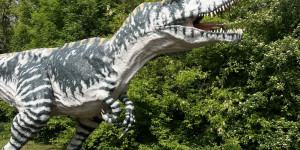 Tajemství Dinoparku🤫🦖 - 1747942113_IMG_1979.jpeg