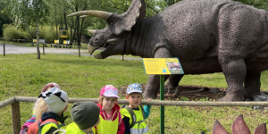 Tajemství Dinoparku🤫🦖 - 1747942117_IMG_1996.jpeg