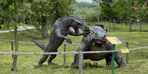 Tajemství Dinoparku🤫🦖 - 1747942135_IMG_2020.jpeg