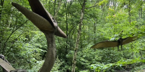 Tajemství Dinoparku🤫🦖 - 1747942155_IMG_2038.jpeg