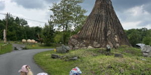 Tajemství Dinoparku🤫🦖 - 1747942208_IMG_2108.jpeg