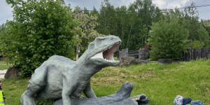 Tajemství Dinoparku🤫🦖 - 1747942220_IMG_2119.jpeg