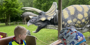 Tajemství Dinoparku🤫🦖 - 1747942266_IMG_2179.jpeg