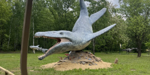 Tajemství Dinoparku🤫🦖 - 1747942273_IMG_2181.jpeg