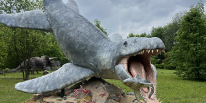 Tajemství Dinoparku🤫🦖 - 1747942275_IMG_2182.jpeg