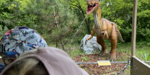 Tajemství Dinoparku🤫🦖 - 1747942278_IMG_2184.jpeg