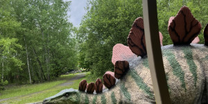 Tajemství Dinoparku🤫🦖 - 1747942283_IMG_2190.jpeg