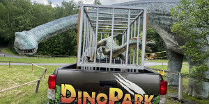 Tajemství Dinoparku🤫🦖 - 1747942285_IMG_2198.jpeg
