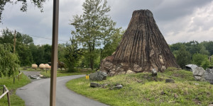 Tajemství Dinoparku🤫🦖 - 1747942293_IMG_2219.jpeg