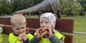 Tajemství Dinoparku🤫🦖 - 1747942299_IMG_2232.jpeg