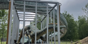 Tajemství Dinoparku🤫🦖 - 1747942304_IMG_2226.jpeg