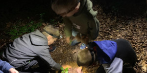 Škola v přírodě - Beskydy - 1748106821_IMG-20250520-WA0045.jpg