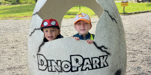 DinoPark - 1748595430_IMG_3916.jpeg