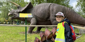 DinoPark - 1748595638_IMG_3954.jpeg